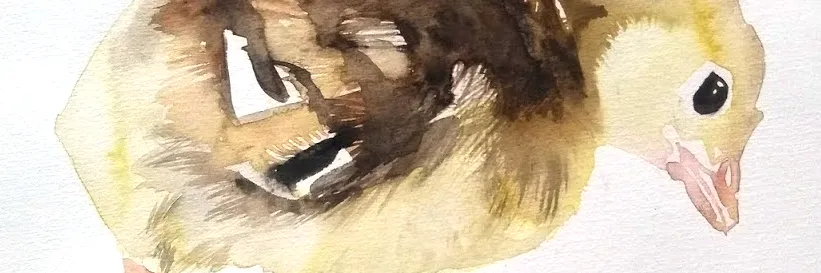 kalkunkylling_2019_60