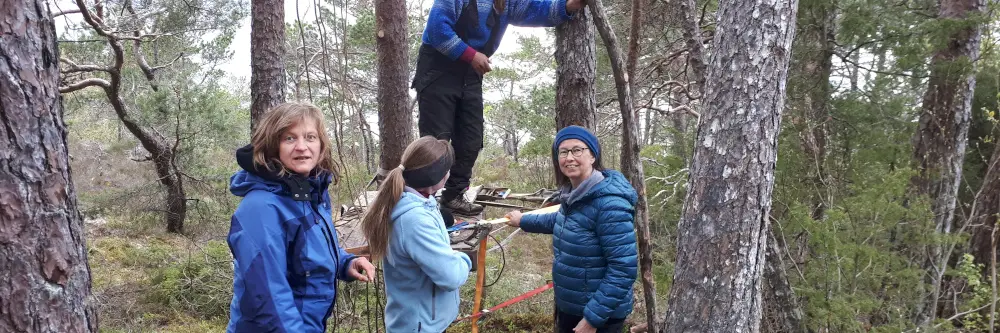 2020%20oppgradering%20kunstl%C3%B8ype%20M%C3%A6len