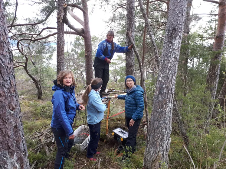 2020%20oppgradering%20kunstl%C3%B8ype%20M%C3%A6len