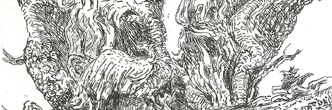 Audun-Storaas-trykk-i-Kabuso-crop-web