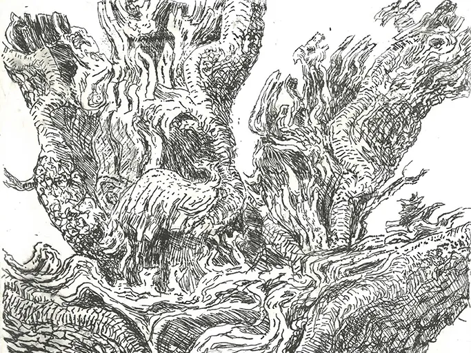 Audun-Storaas-trykk-i-Kabuso-crop-web