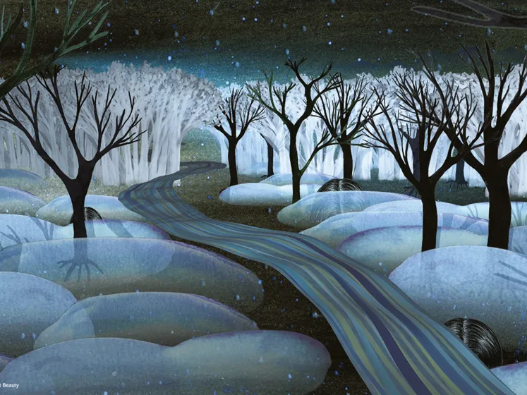 simone%20Hooymans%20An%20elusive%20world