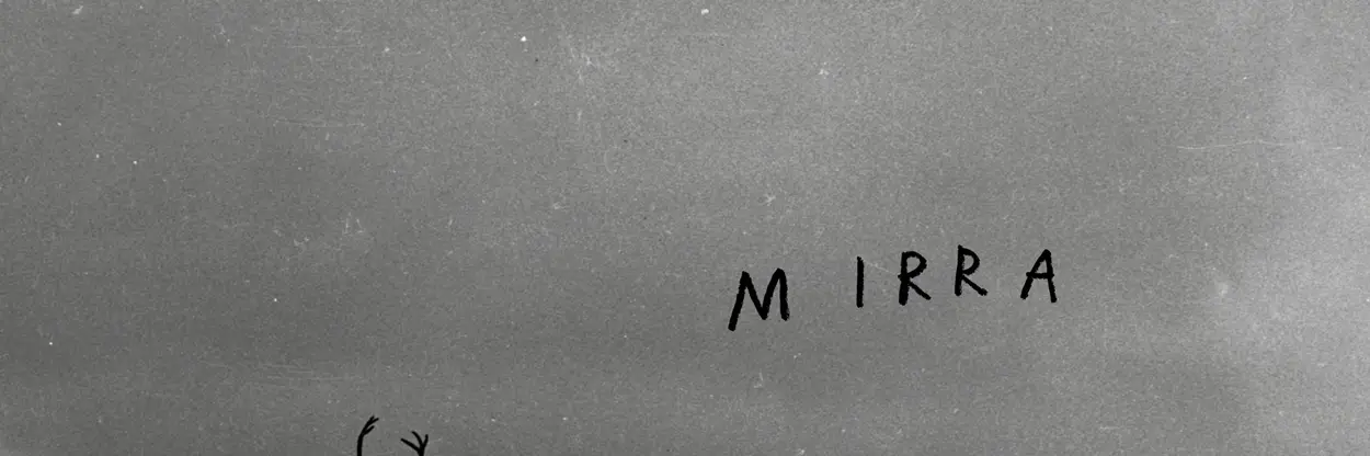 482029083_4258549637707971_5585746813838480871_n