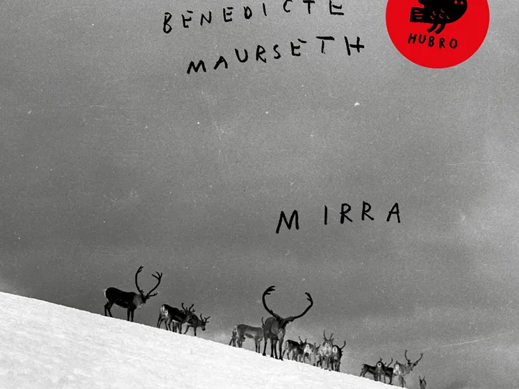 482029083_4258549637707971_5585746813838480871_n