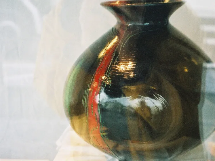 puls-vindauge-F1000003