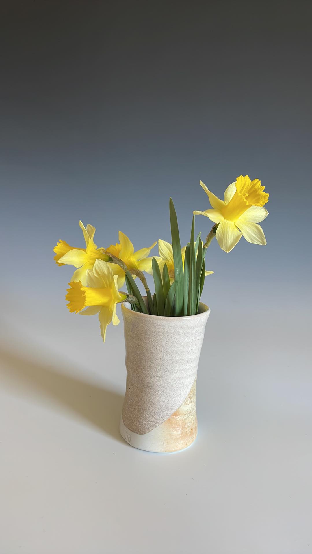 275938633_922645838412936_3101483080073416166_n