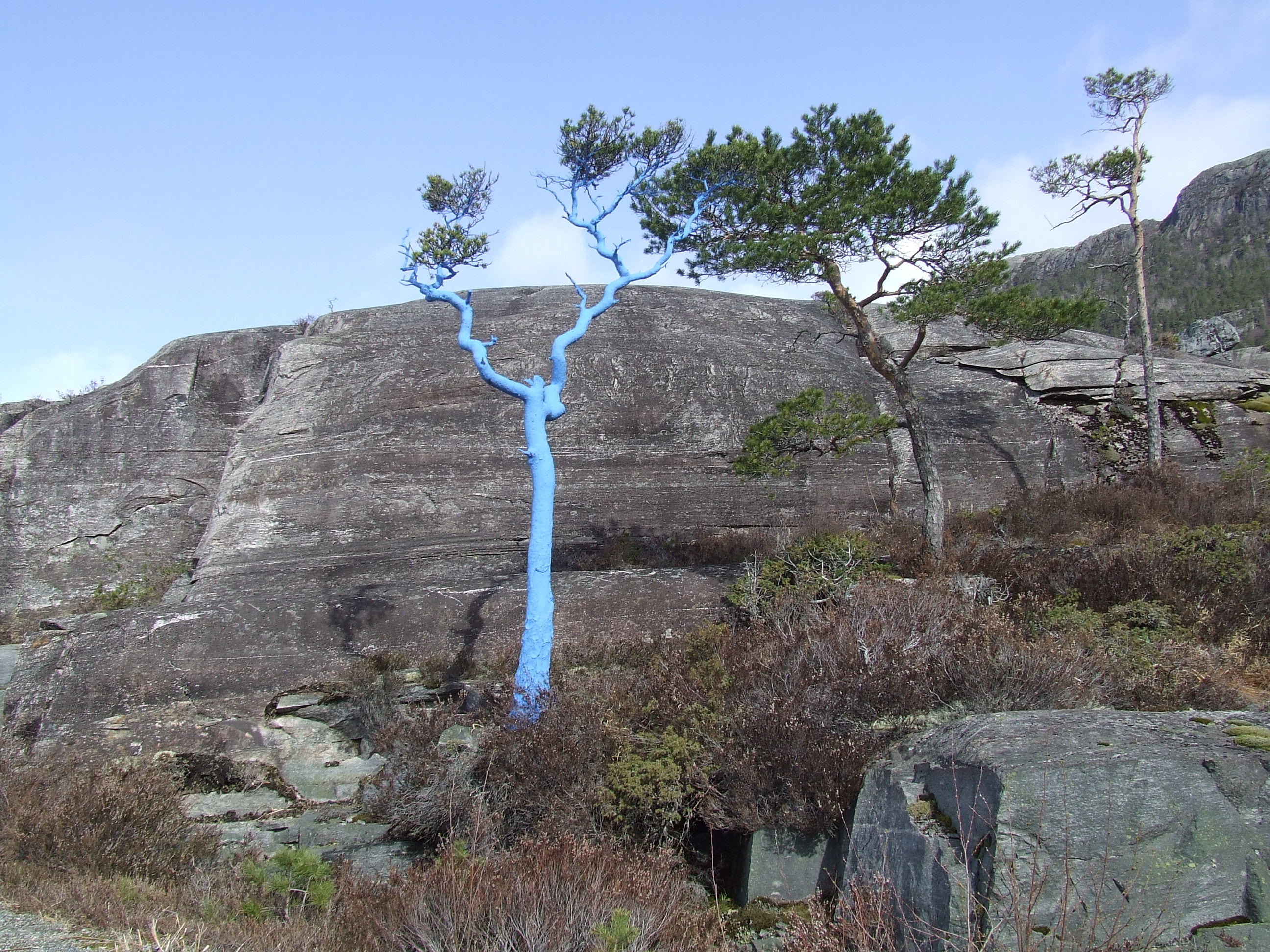 -Blått til lyst- av Ingunn van Etten