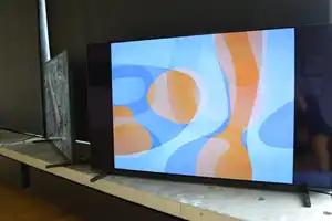 Mirjam Clement, maleri vist på skjerm