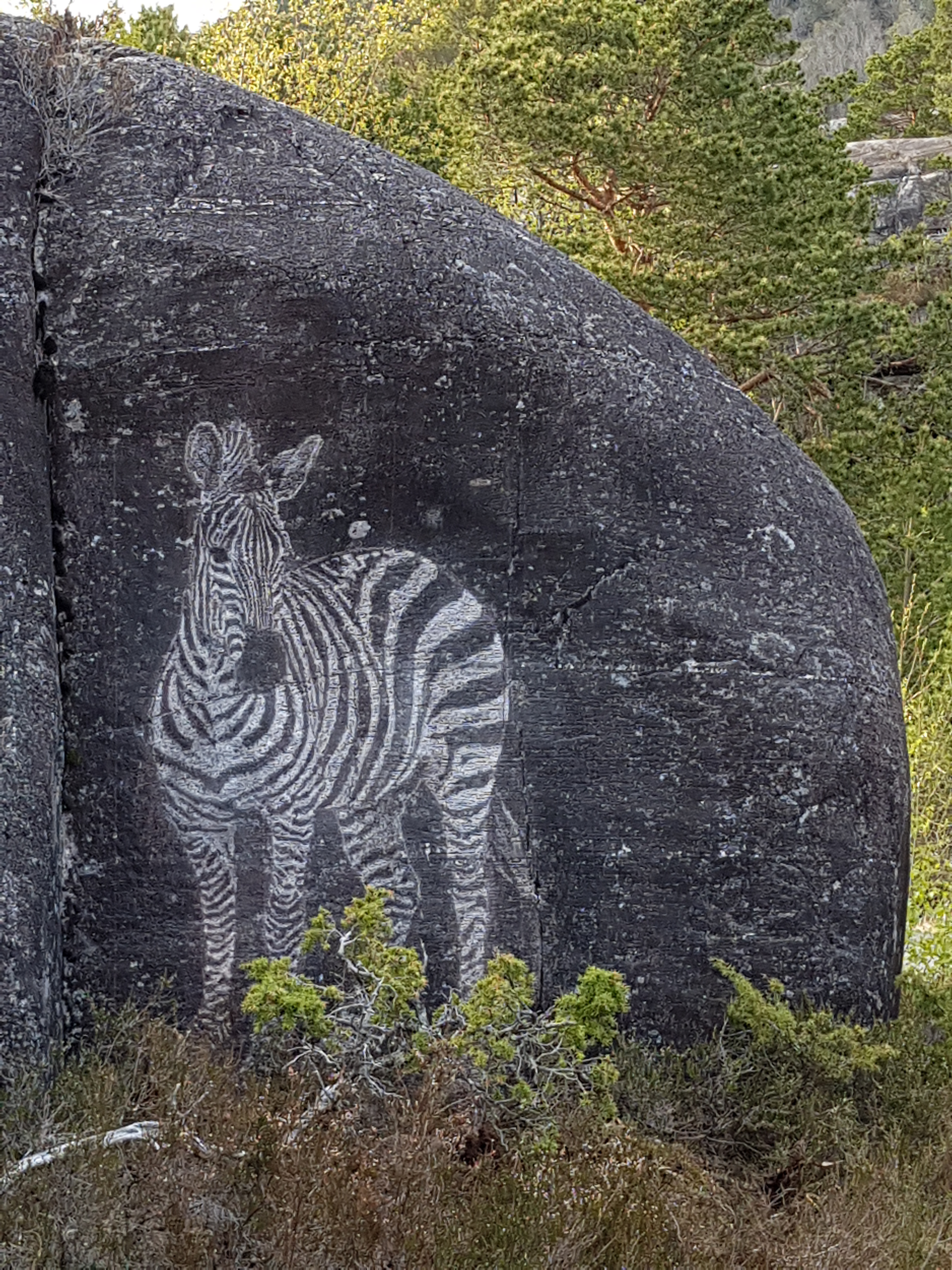 Guro-1-20200515_200548